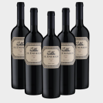PACK PROMO 5 UND EL ENEMIGO-MALBEC